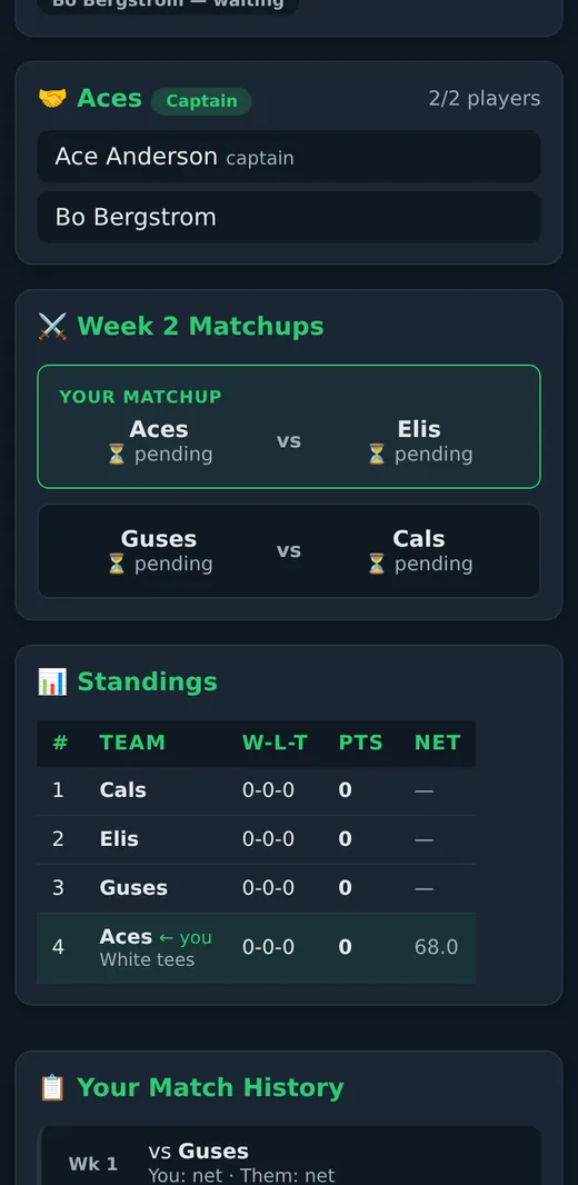 A team league page: the week's matchups and the team standings